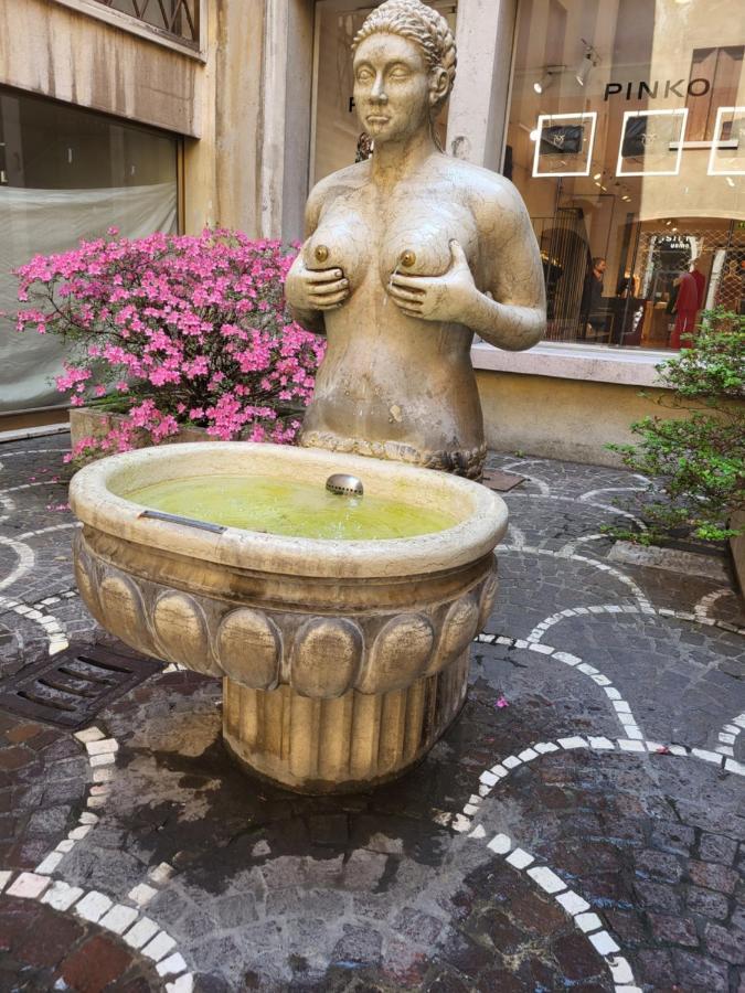 19 Borgo Cavour Bed & Breakfast Treviso Bagian luar foto