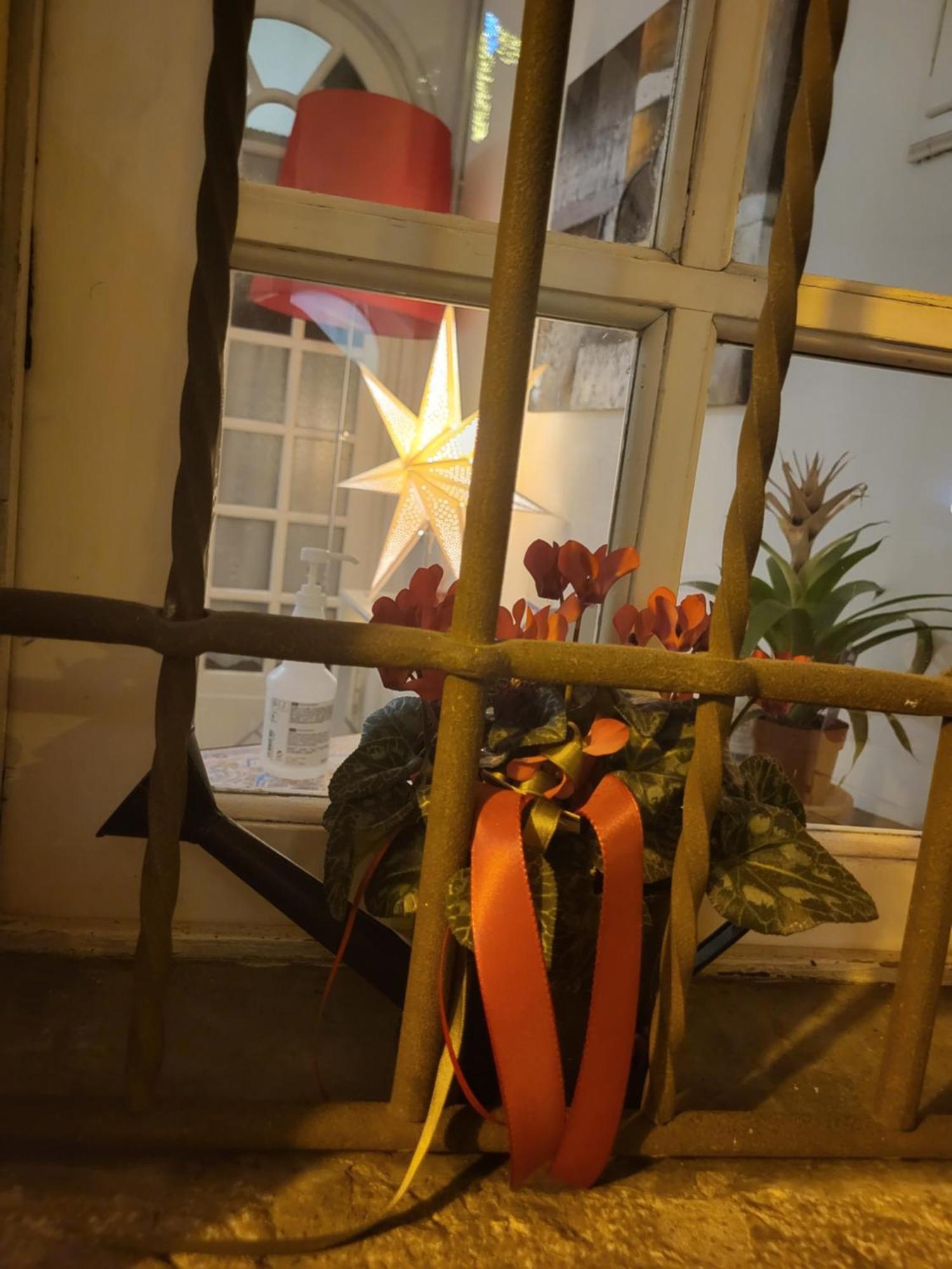 19 Borgo Cavour Bed & Breakfast Treviso Bagian luar foto