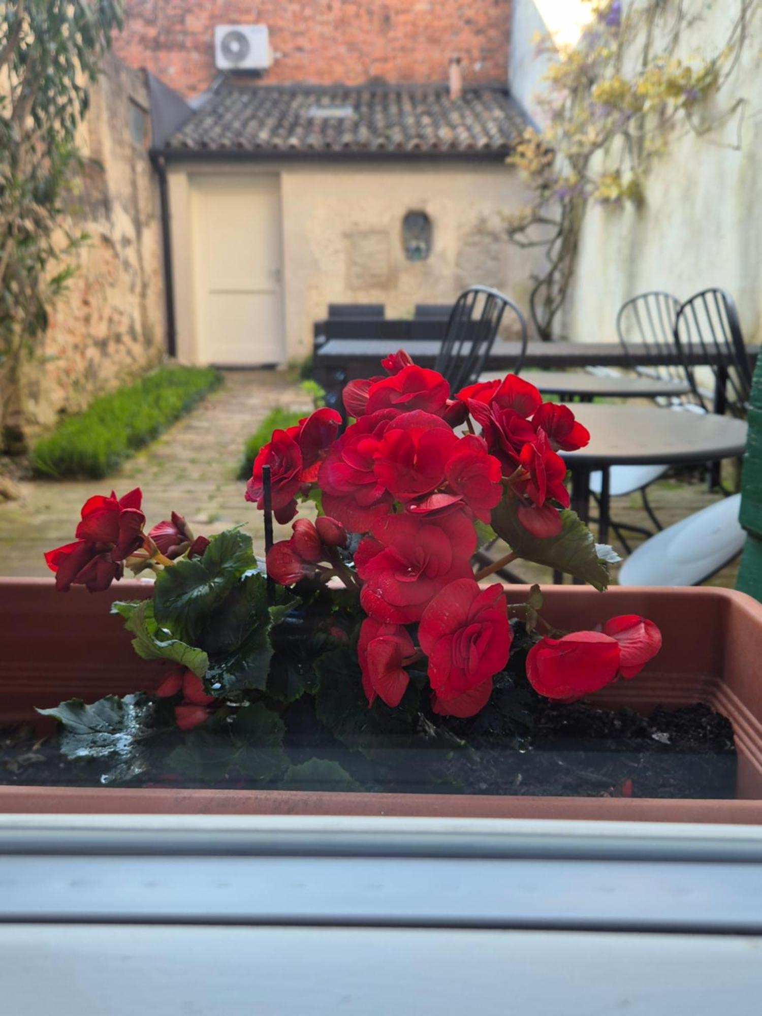 19 Borgo Cavour Bed & Breakfast Treviso Bagian luar foto